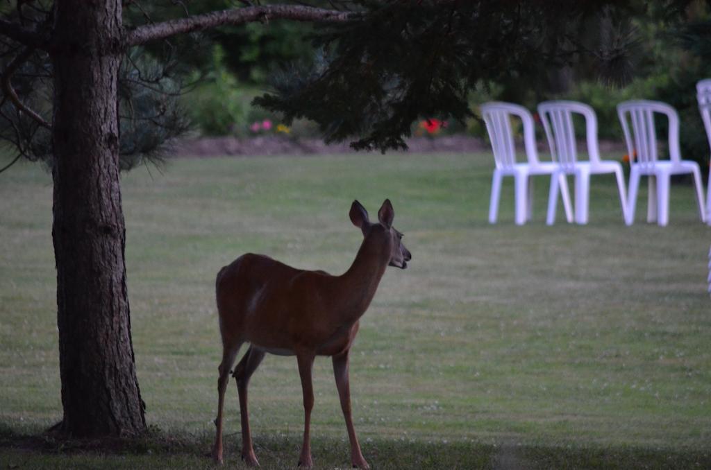 Briarwood Bed & Breakfast Elmsdale Bagian luar foto