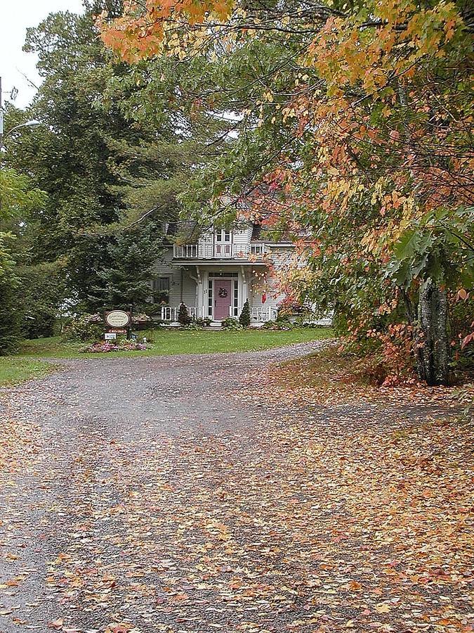 Briarwood Bed & Breakfast Elmsdale Bagian luar foto