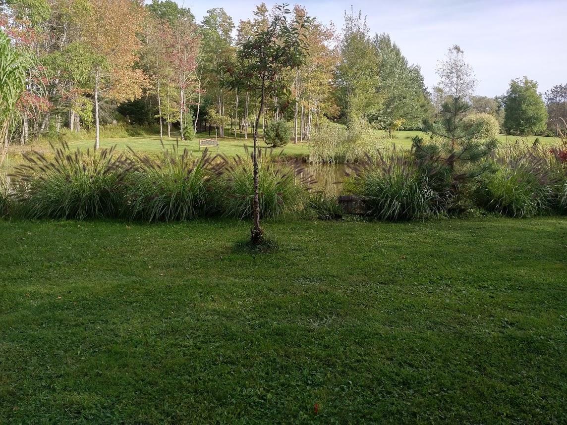 Briarwood Bed & Breakfast Elmsdale Ruang foto