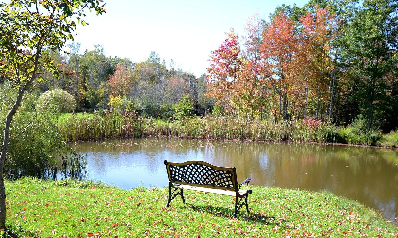 Briarwood Bed & Breakfast Elmsdale Ruang foto